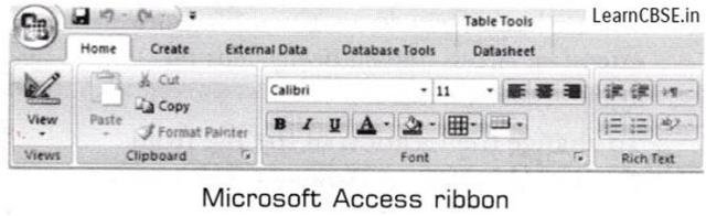 NCERT Solutions For Class 10 Computer Chapter 4 Microsoft Access 5 Soluti5