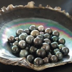 How pearl farming impacts the environment 1 3e0d2a5e63b4ce458a486ea3645dd171