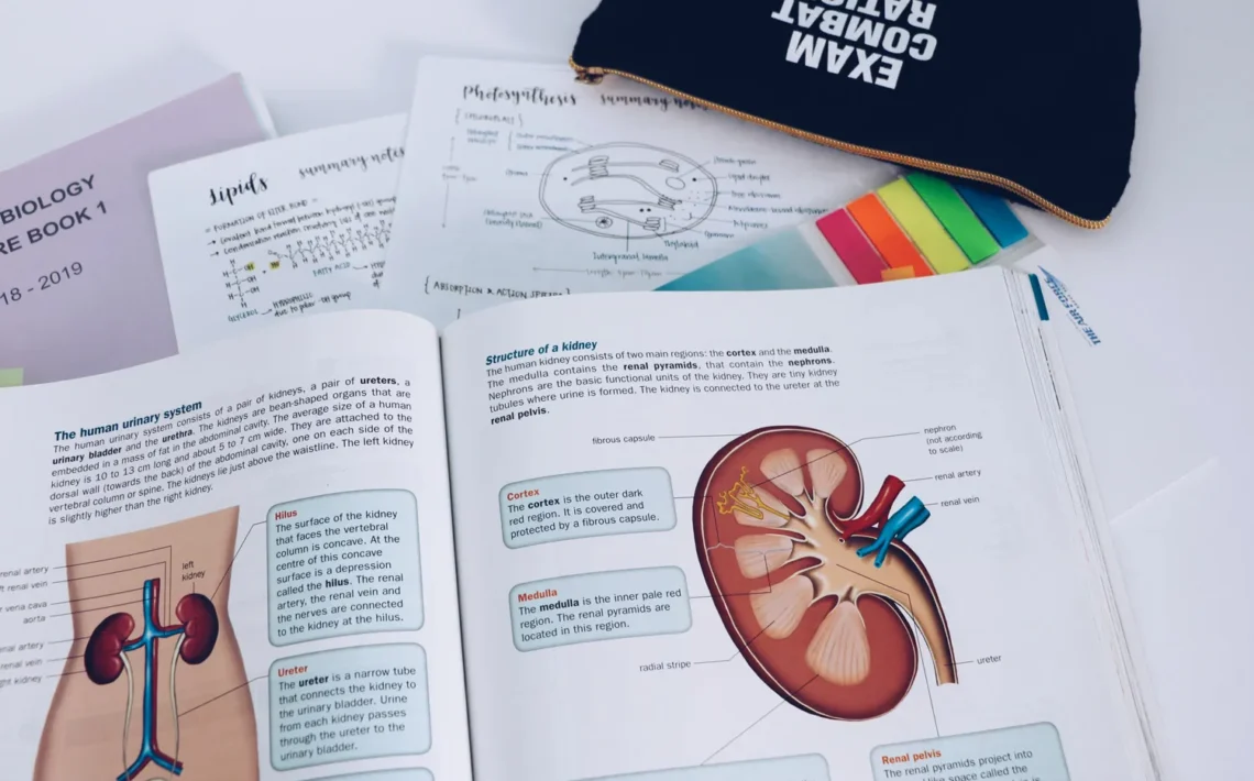 Study Tips for Biology 1 tlm how to study biology