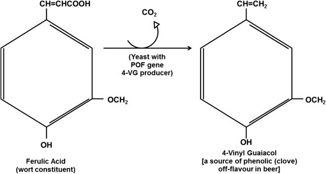 How Different Sugars Drive Yeast Respiration 5 image 3