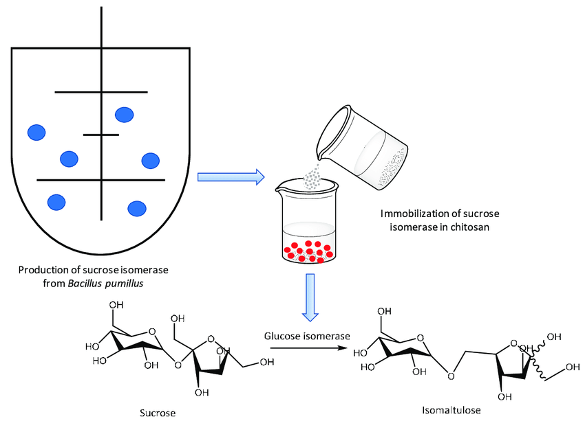 How Different Sugars Drive Yeast Respiration 4 image